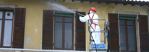 Disinfezione e disinfestazione piccioni